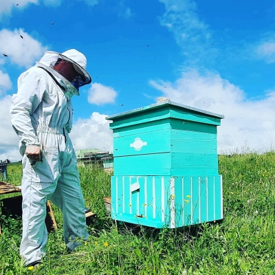 Гранты для подготовки профессиональных пчеловодов выделили в Удмуртии 