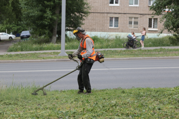В Ижевске продолжается покос газонов вдоль автодорог