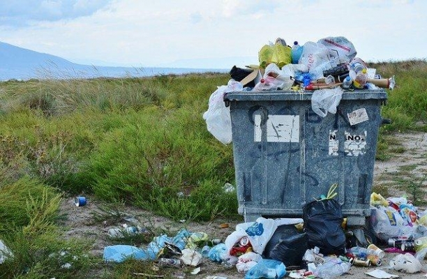 В Удмуртии очистили от отходов участки лесов Можгинского и Завьяловского районов