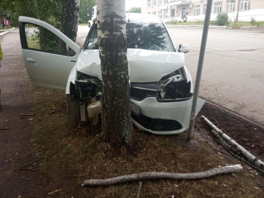 Пьяный водитель иномарки въехал в дерево в Удмуртии