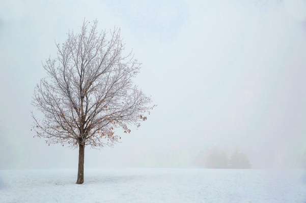 Сильный туман ожидается в Удмуртии ночью и утром 14 декабря