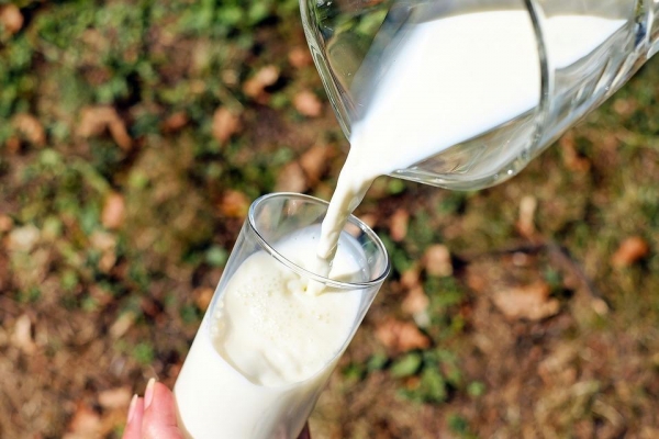 Переработчика молока из города Чайковский лишили 5 деклараций соответствия качеству