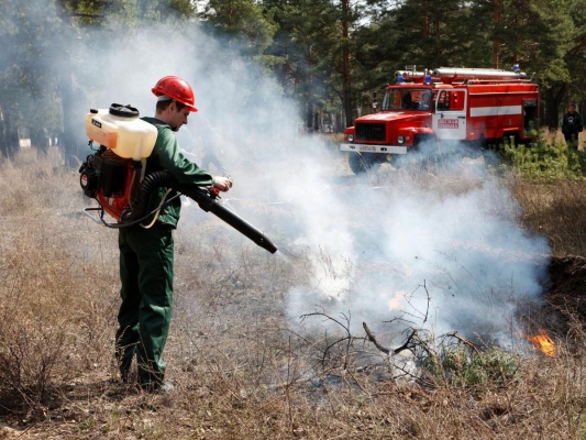 В Удмуртии с начала весны потушили 33 лесных пожара 