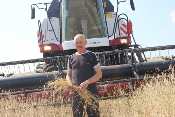 В Удмуртии назвали победителей уборочной кампании по урожайности зерновых