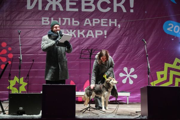 В Ижевске прошла благотворительная акция «Хочу домой» от приюта для бездомных животных «Кот и пес»