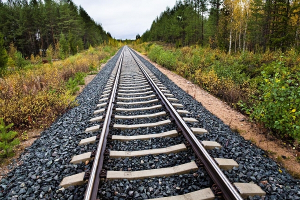 Погрузка на железной дороге Удмуртии за 4 месяца 2021 года увеличилась на 8,6%