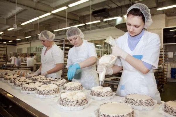 Самыми востребованными профессиями в России стали повар и продавец-кассир