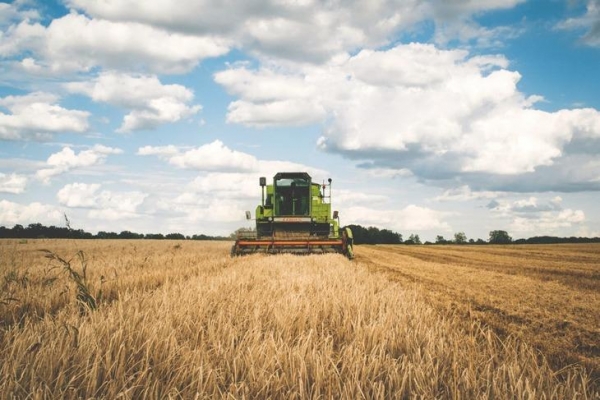 Рынок сельхозтехники в 2022 году: спрос вырастет, дефицит на оборудование останется