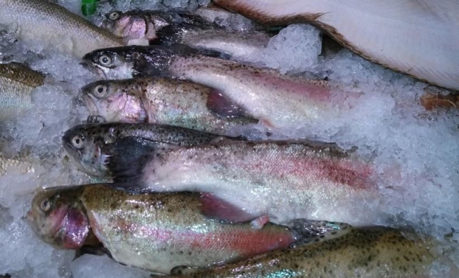 Производителей рыбной продукции в Удмуртии оштрафовали на 230 тысяч рублей