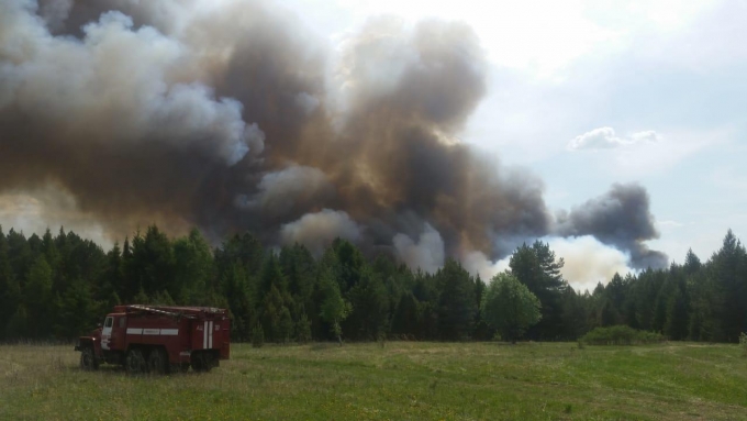 Лесной массив на площади 10 га загорелся в Воткинском районе Удмуртии 
