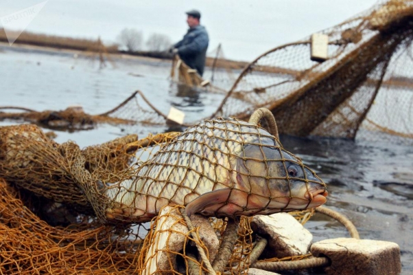 Профилактическое мероприятие по пресечению браконьерской деятельности «Путина» проходит в Удмуртии