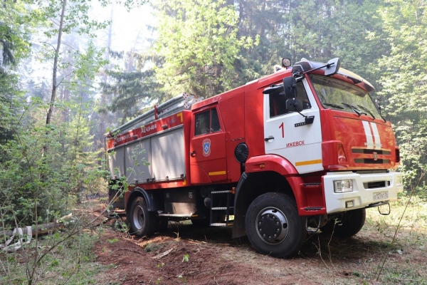 В Удмуртии ликвидировали крупный лесной пожар в национальном парке