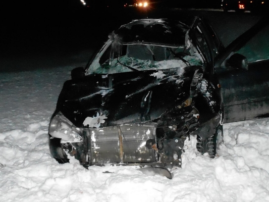 Автомобиль «Лада» сбил лося на трассе в Удмуртии