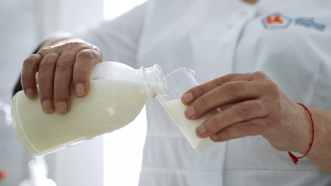 400 хозяйств проверят в Удмуртии на безопасность производимого молока