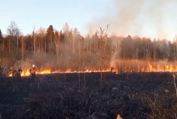 Более 6 часов тушили пожар в районе Юровского мыса в Ижевске