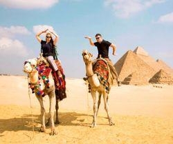 Если не в Египет, то куда?