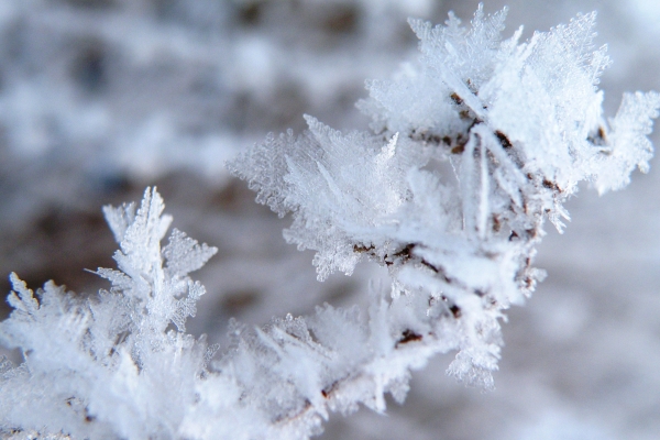 9 декабря в Удмуртии ожидается мороз до -42 градусов