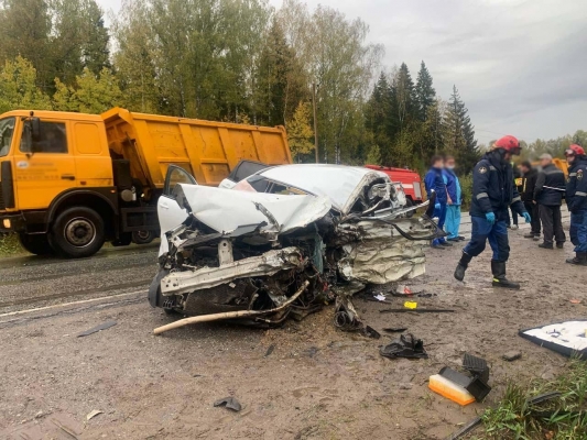 Водитель погиб в ДТП в Завьяловском районе Удмуртии