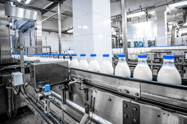 Удмуртия вошла в ТОП-3 региона ПФО по производству молока, сливочного масла и сыра