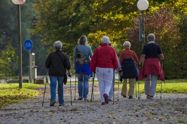 Глава ПФР оценил сокращение числа пенсионеров из-за избыточной смертности